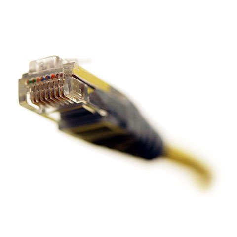 Network cable